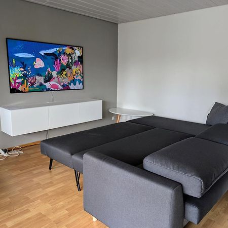 Storchennest - Schoenes, Ruhiges Apartment Mit Sonnenterrasse Tettnang Bagian luar foto