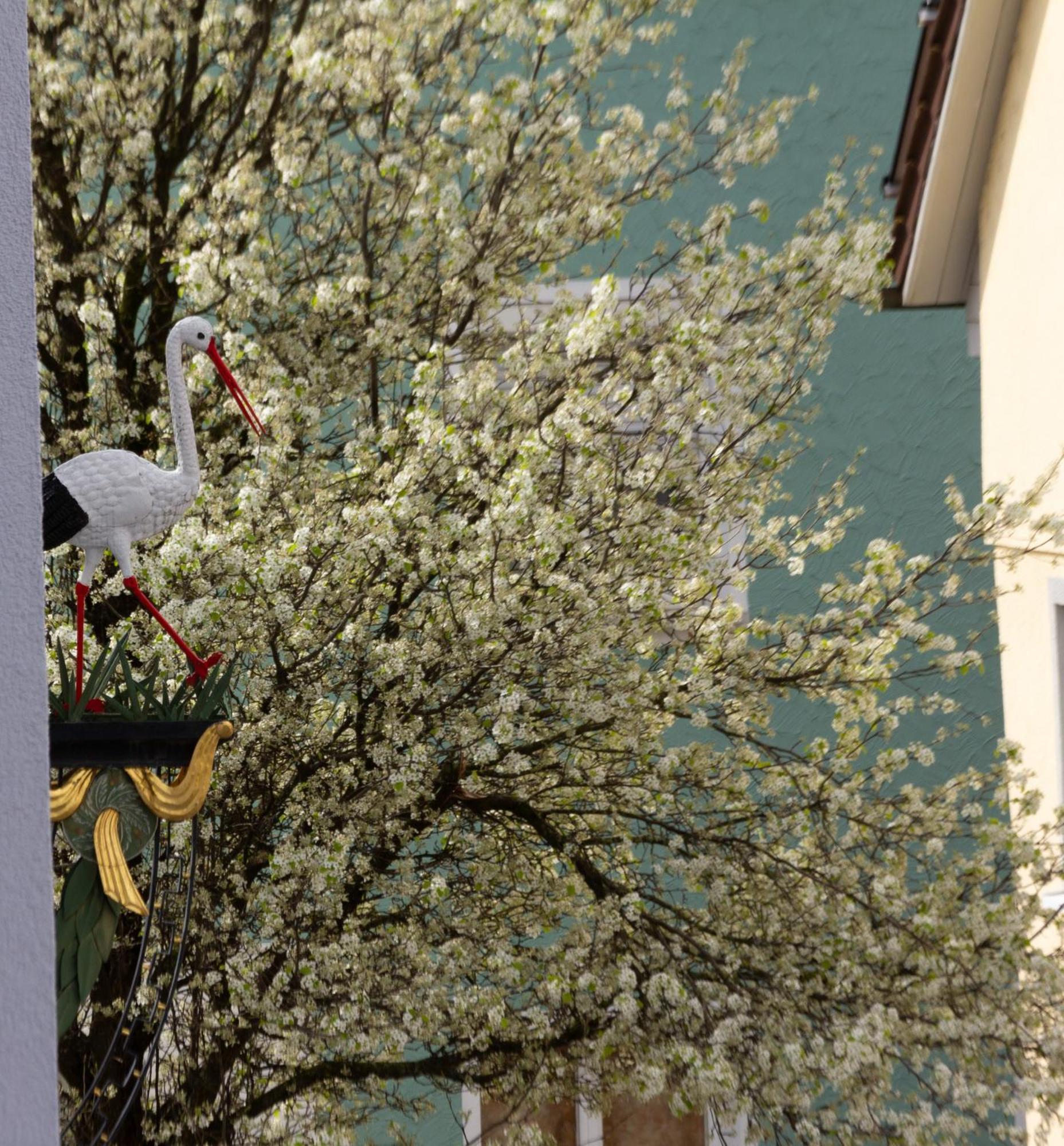 Storchennest - Schoenes, Ruhiges Apartment Mit Sonnenterrasse Tettnang Bagian luar foto
